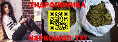 мяу мяу мука Новодвинск